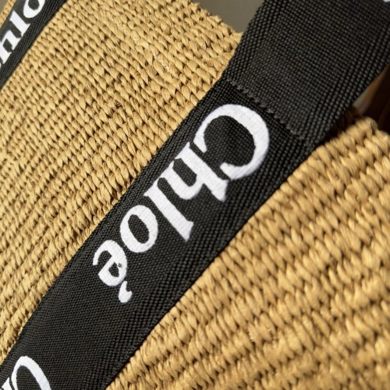 Trendsetting Chloe Shopping Bags 60094