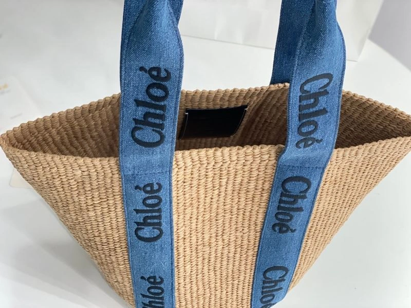 EyeCatching Chloe Shopping Bags 59452