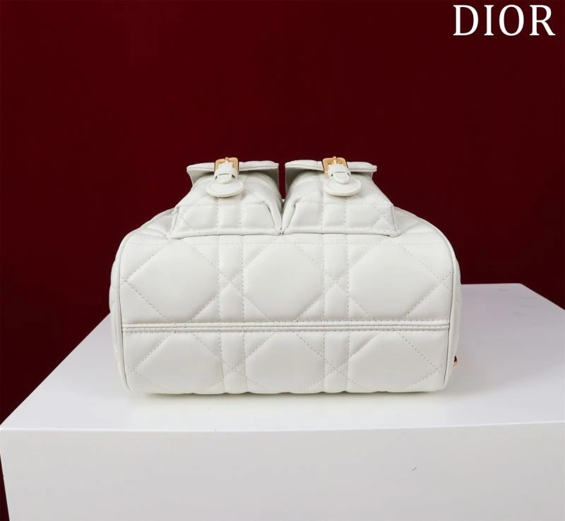 Christian Dior Backpacks BestValue 64178