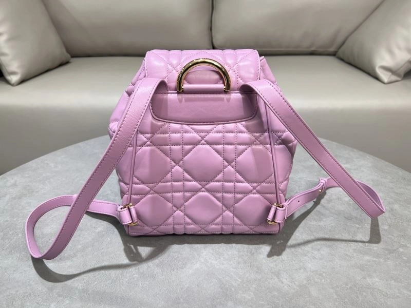 Contemporary Christian Dior Backpacks 64090