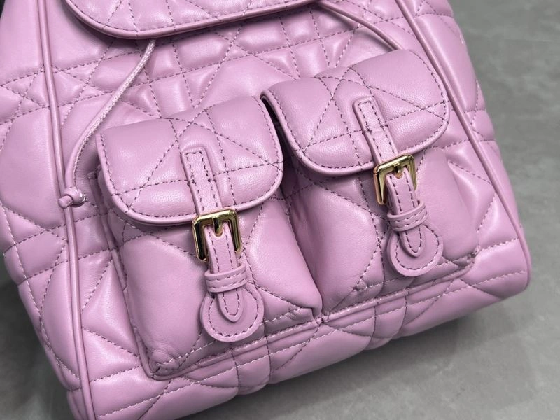 Contemporary Christian Dior Backpacks 64090