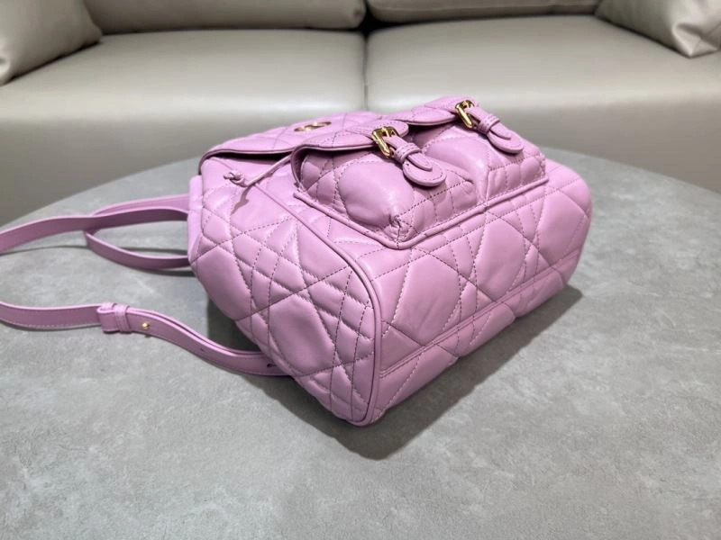 Contemporary Christian Dior Backpacks 64090
