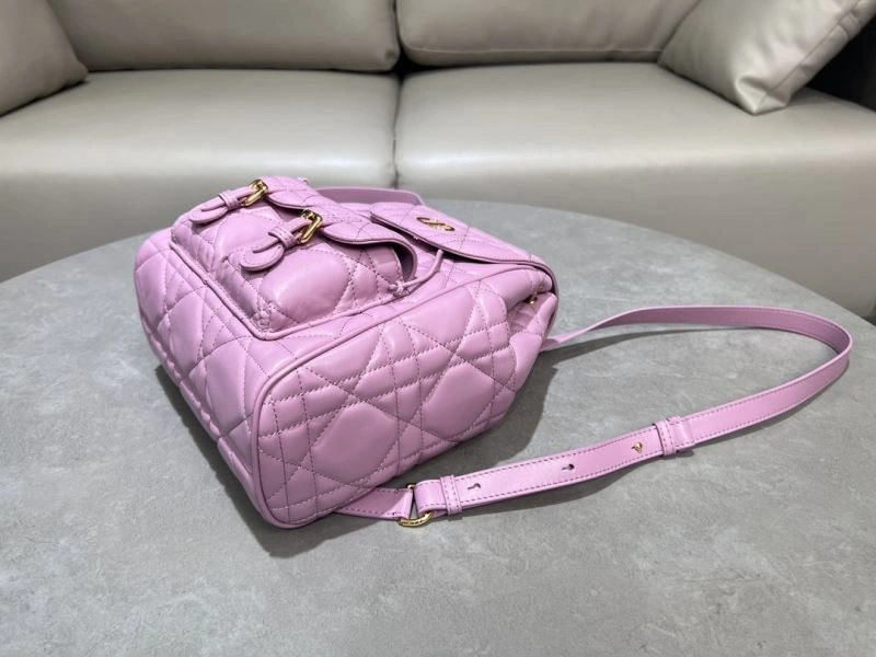 Contemporary Christian Dior Backpacks 64090