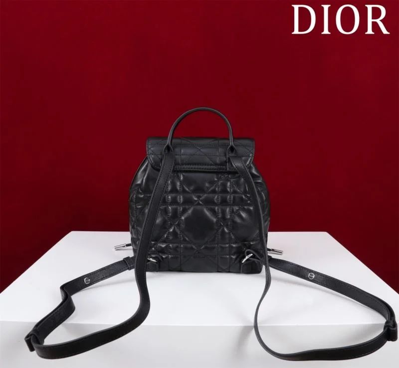 Christian Dior Backpacks MultiPurpose 47757