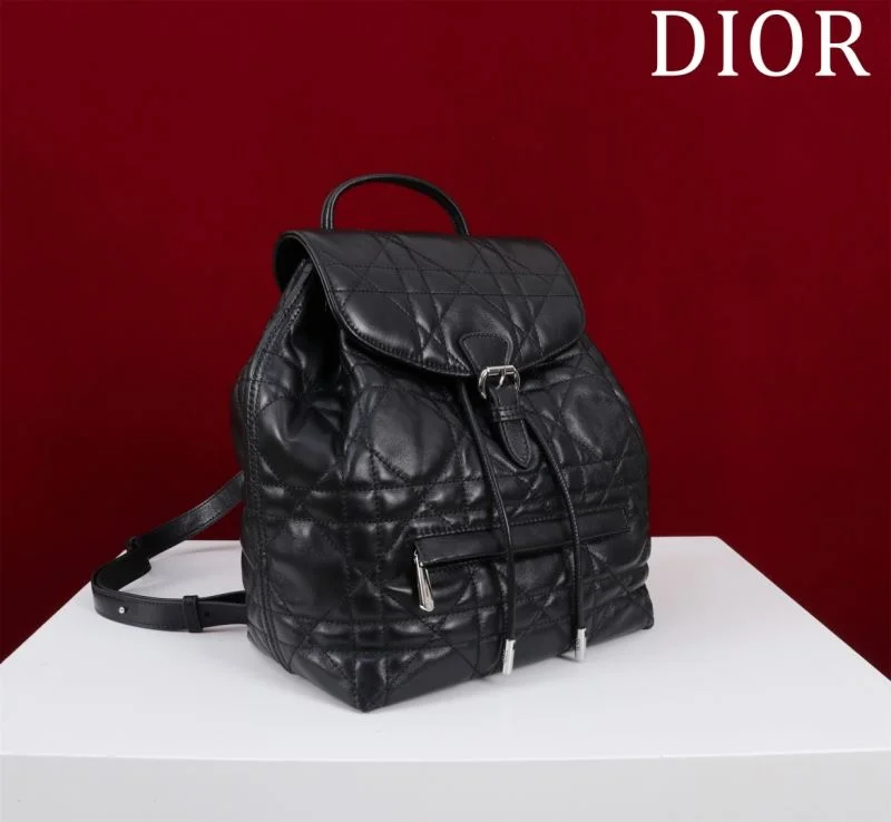 Fashionable Christian Dior Backpacks 47760