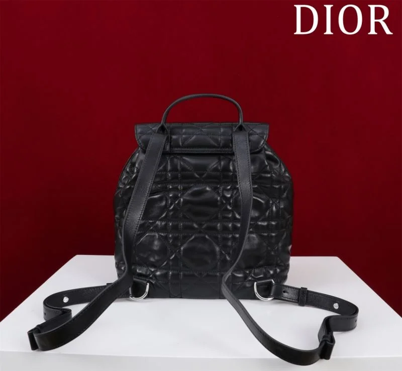Fashionable Christian Dior Backpacks 47760