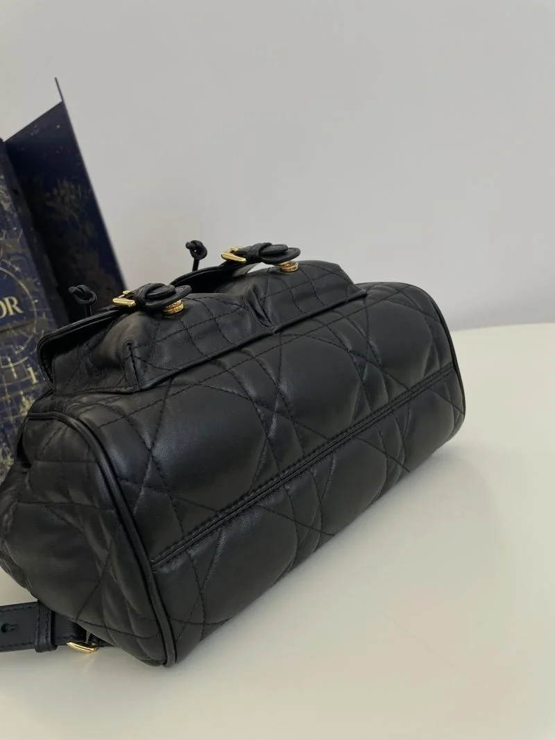 Chic Christian Dior Backpacks 47702