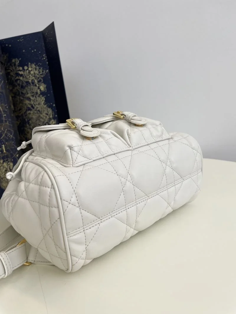 EyeCatching Christian Dior Backpacks 47744