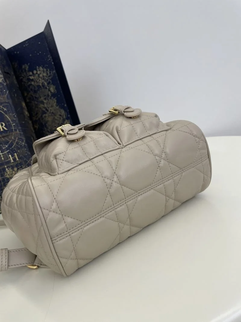 Lightweight Christian Dior Backpacks 47728