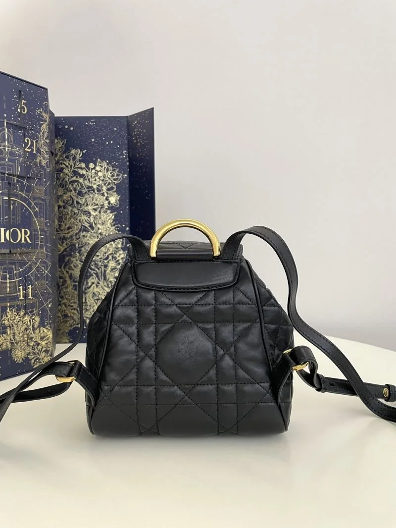HighPerformance Christian Dior Backpacks 47700