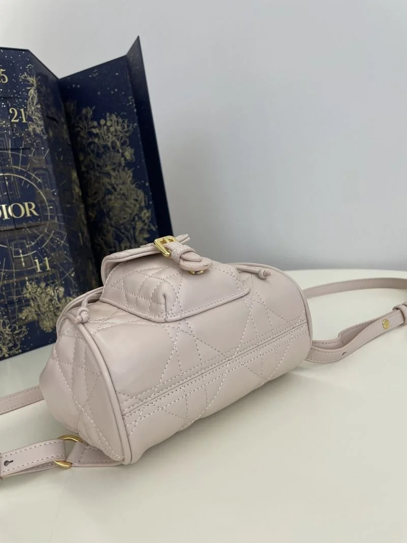 Christian Dior Backpacks Resilient 47812