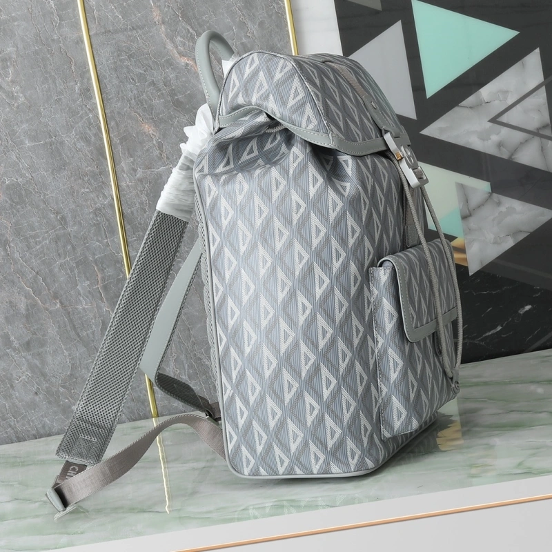 EyeCatching Christian Dior Backpacks 71387
