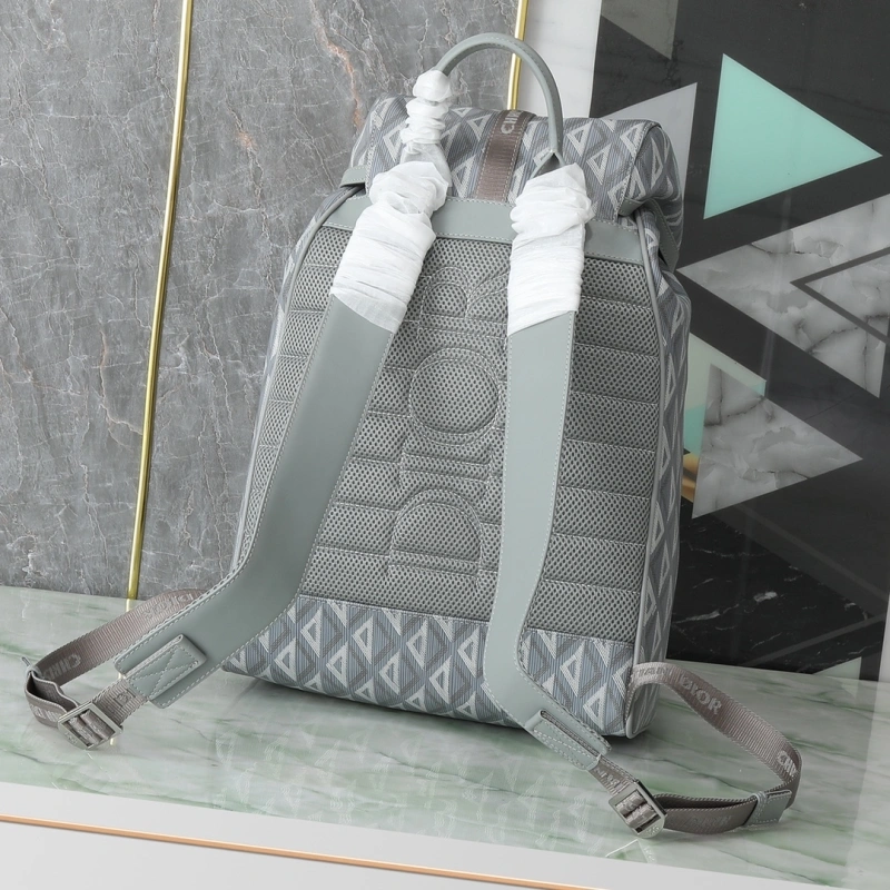 EyeCatching Christian Dior Backpacks 71387