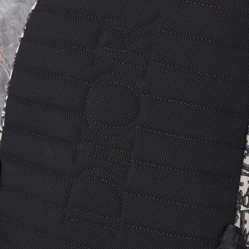 StreetReady Christian Dior Backpacks 46584