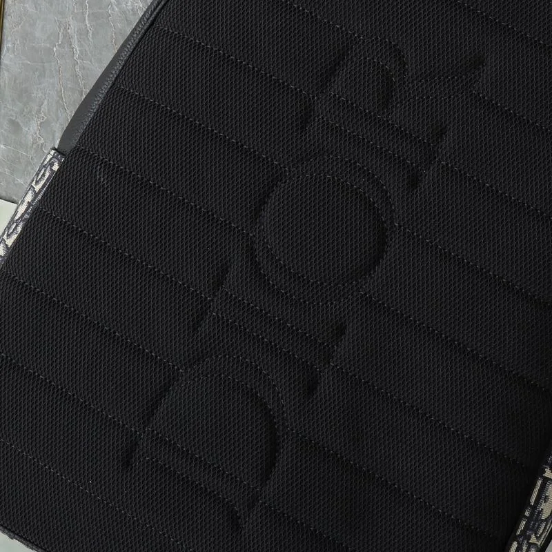 Christian Dior Backpacks Trendsetting 46562