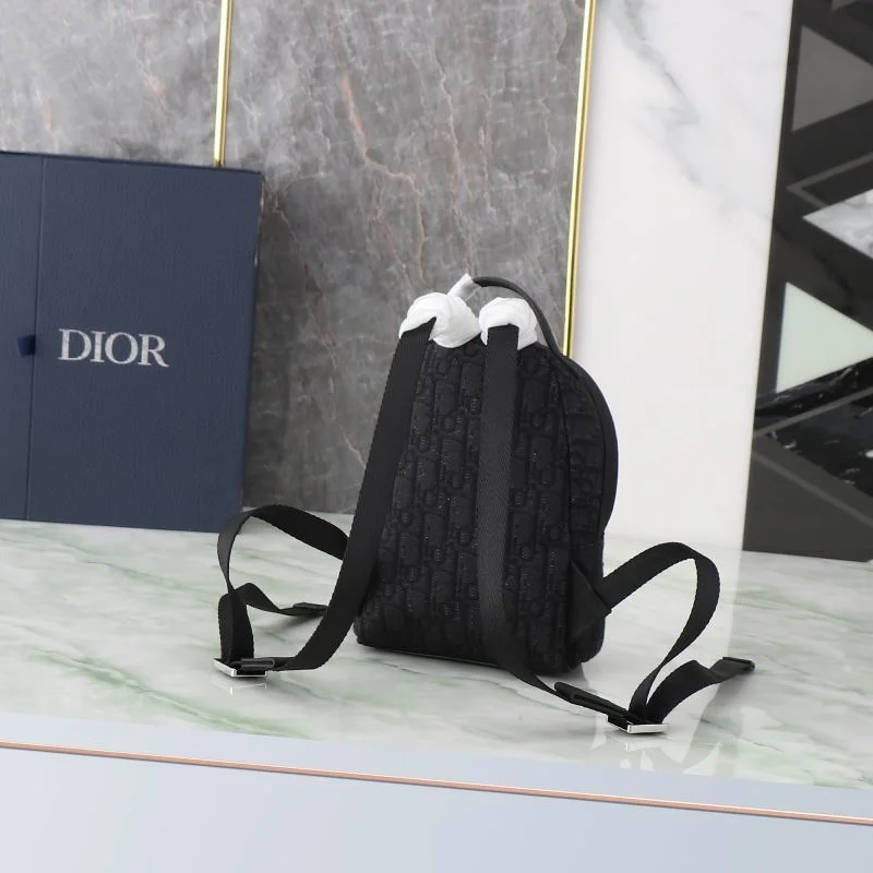 Christian Dior Backpacks AllSeason 46553