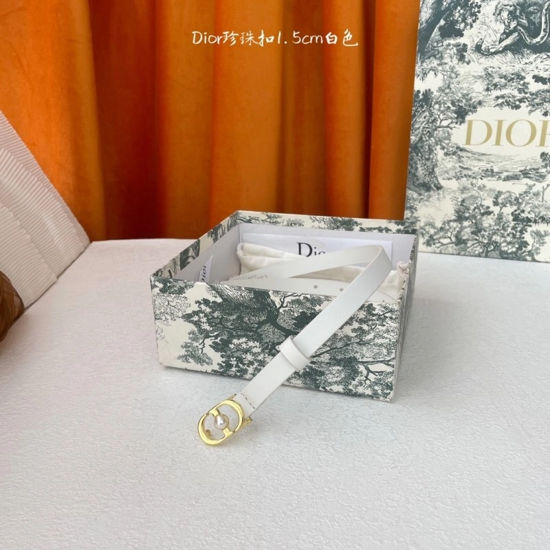 StreetReady Christian Dior Belts 284772