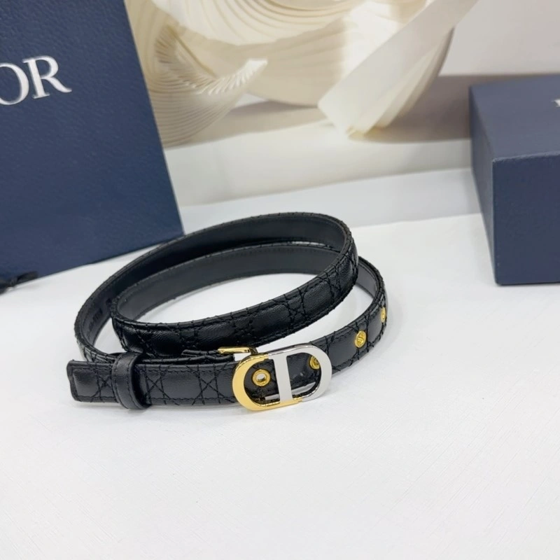 GoAnywhere Christian Dior Belts 285171