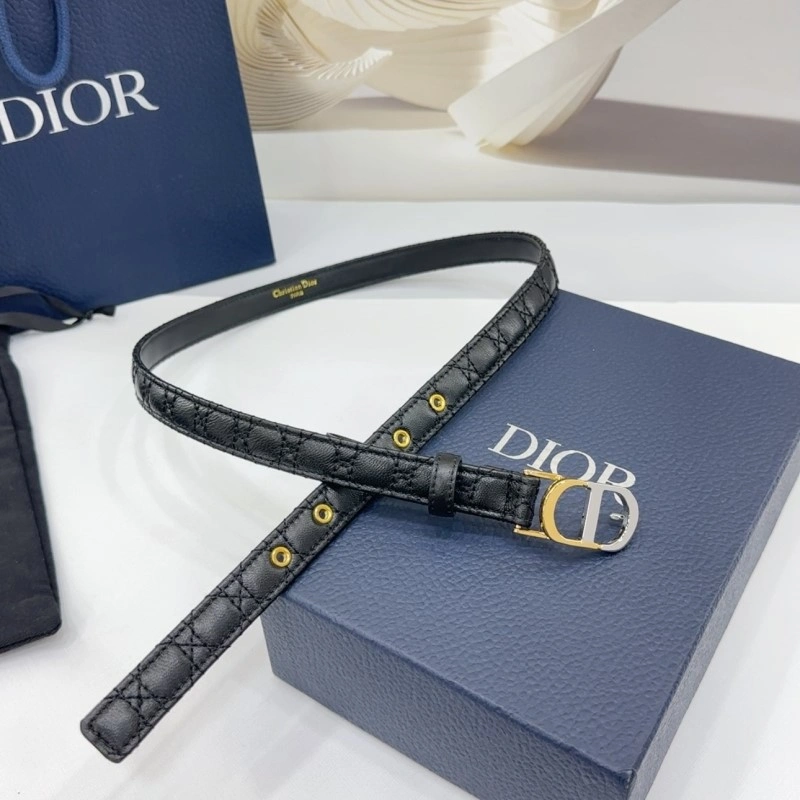 GoAnywhere Christian Dior Belts 285171