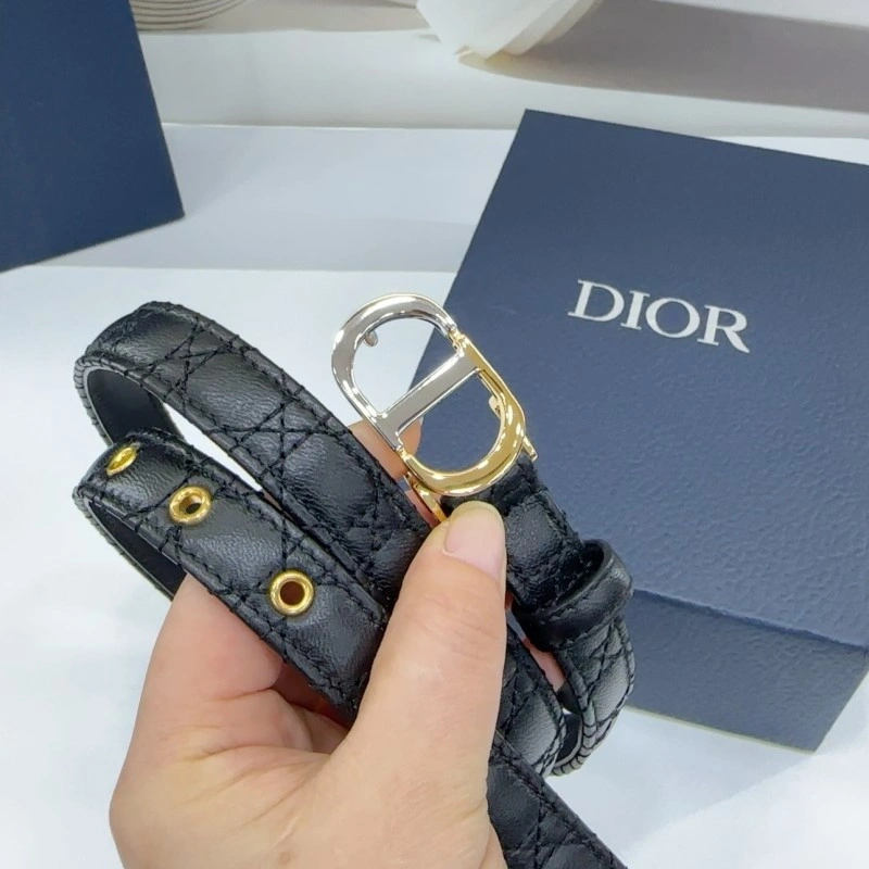 GoAnywhere Christian Dior Belts 285171