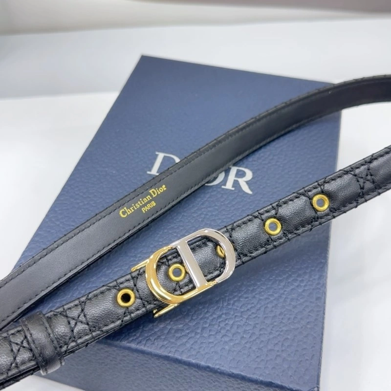 GoAnywhere Christian Dior Belts 285171