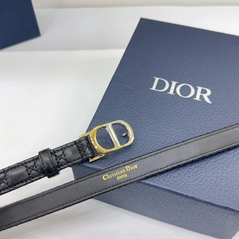 GoAnywhere Christian Dior Belts 285171