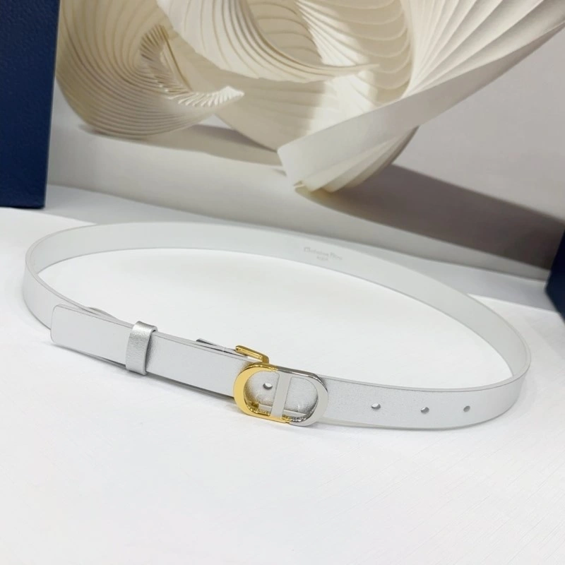 UrbanStyle Christian Dior Belts 285128