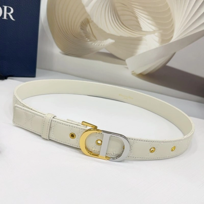 TechFriendly Christian Dior Belts 285132