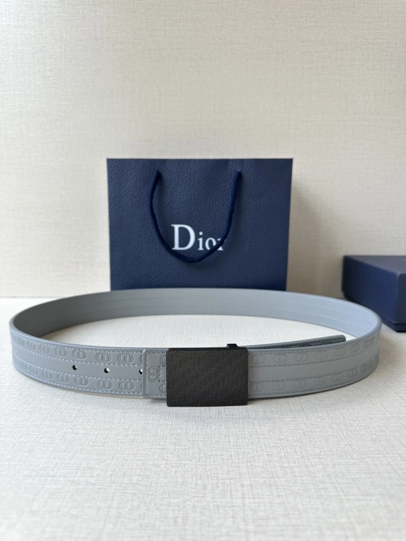 Christian Dior Belts WrinkleFree 285063
