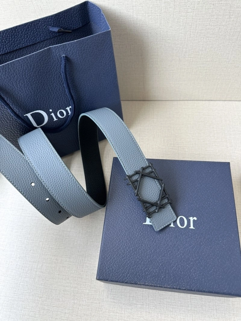 Christian Dior Belts AllSeason 285071