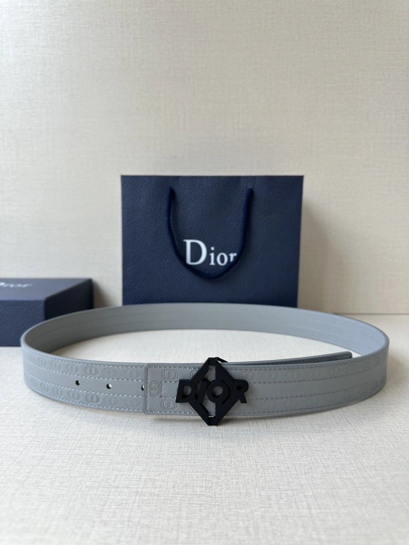 Christian Dior Belts Functional 285027