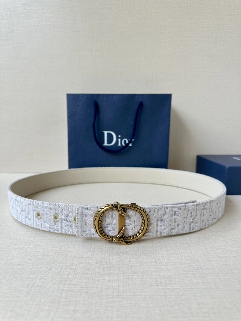 Christian Dior Belts Breathable 284991