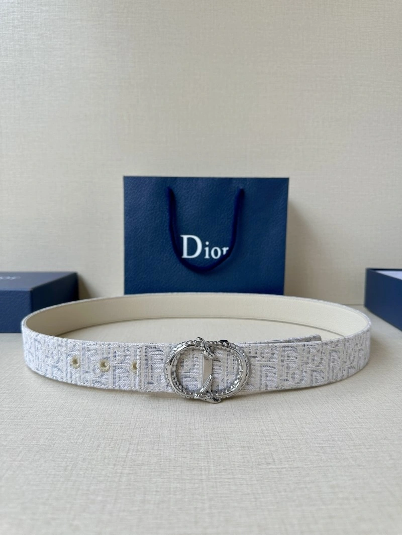 SmoothTexture Christian Dior Belts 284989