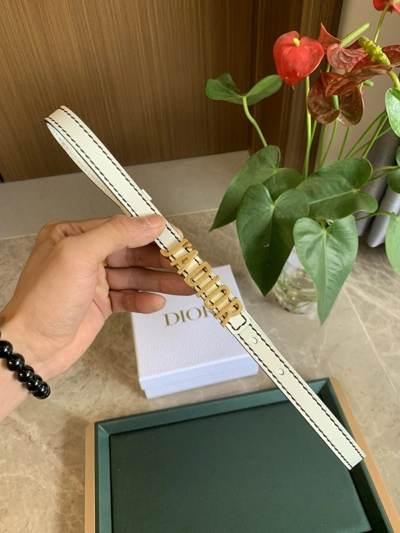 Christian Dior Belts TopPick 284969