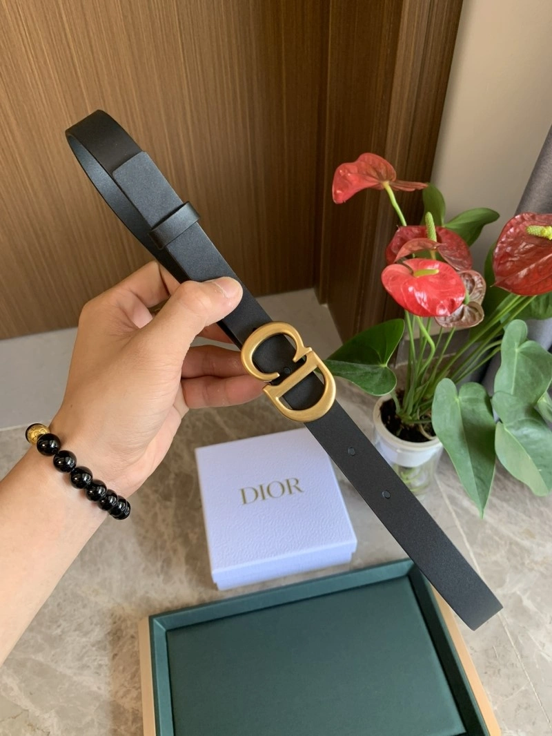 DailyWear Christian Dior Belts 284968