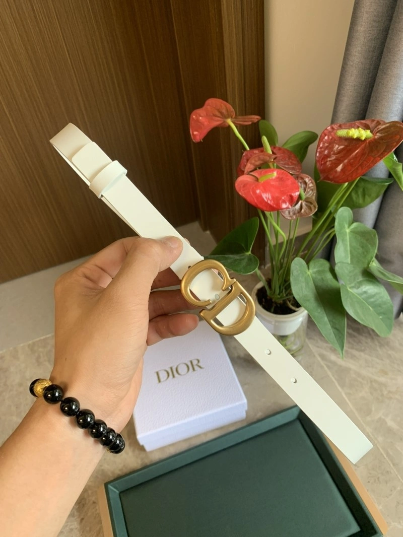 OdorResistant Christian Dior Belts 284971