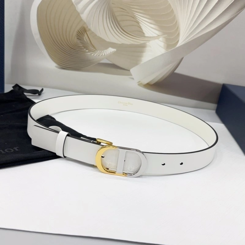 Trendsetting Christian Dior Belts 284973
