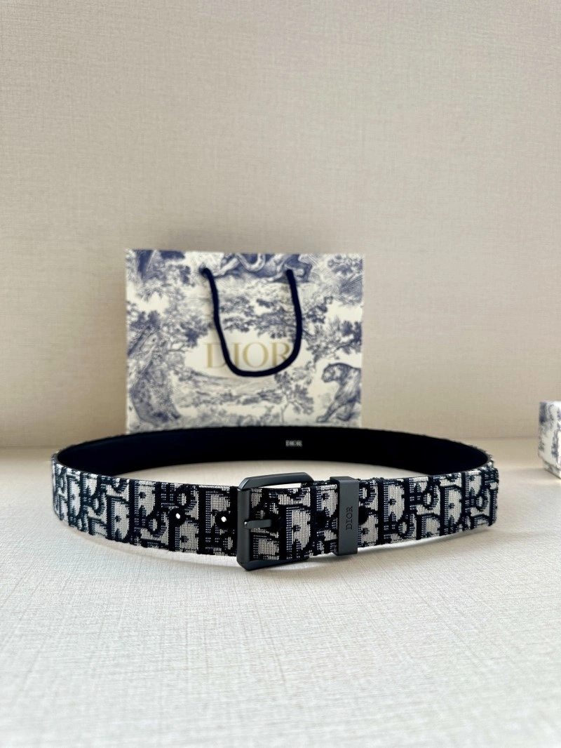 EyeCatching Christian Dior Belts 284942