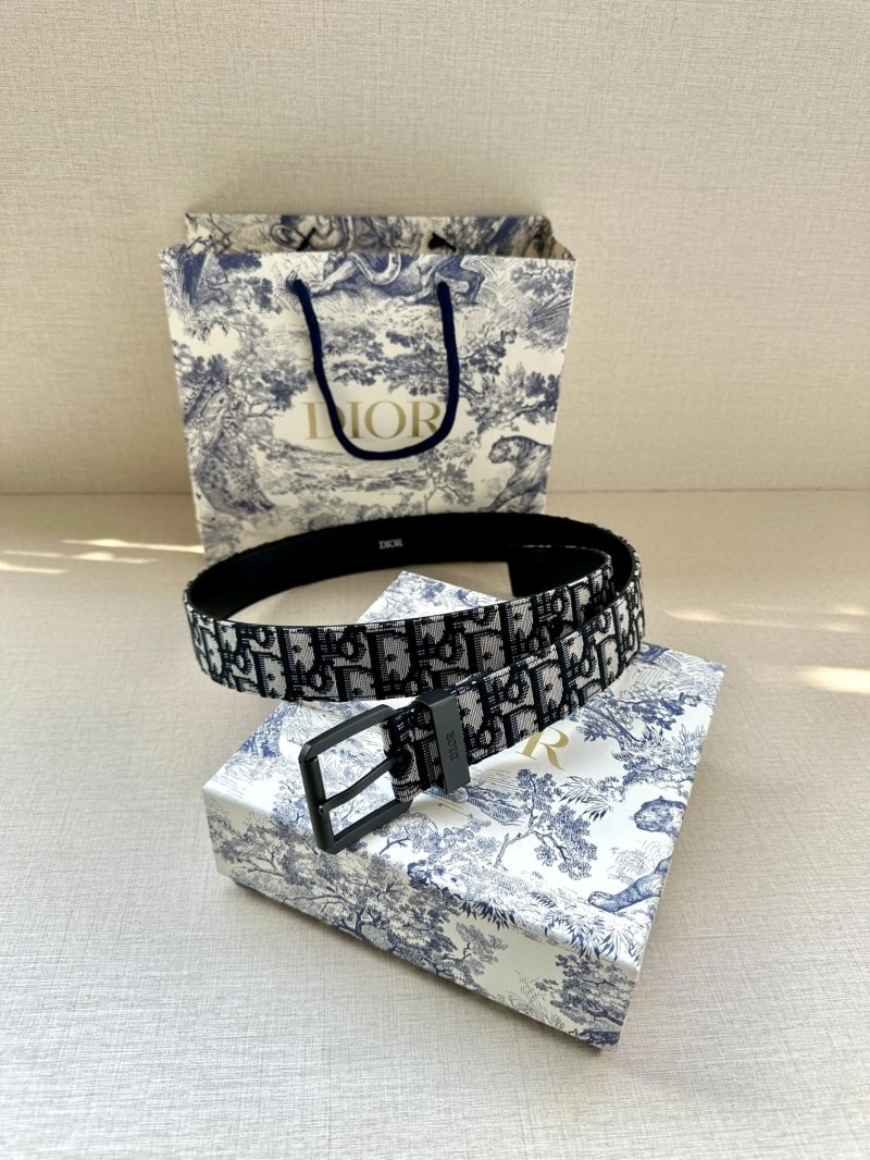 EyeCatching Christian Dior Belts 284942