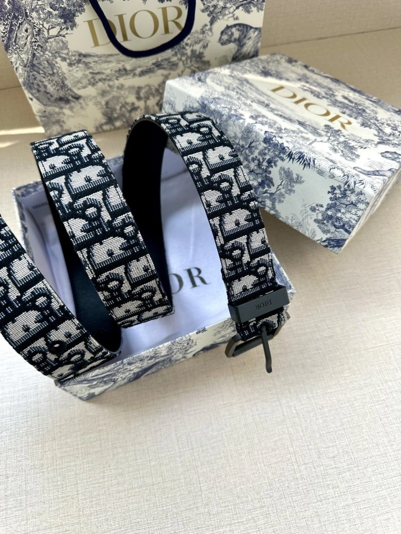 EyeCatching Christian Dior Belts 284942