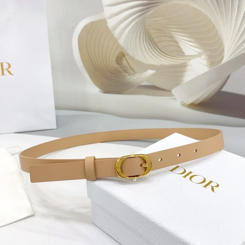 Christian Dior Belts AllSeason 284917