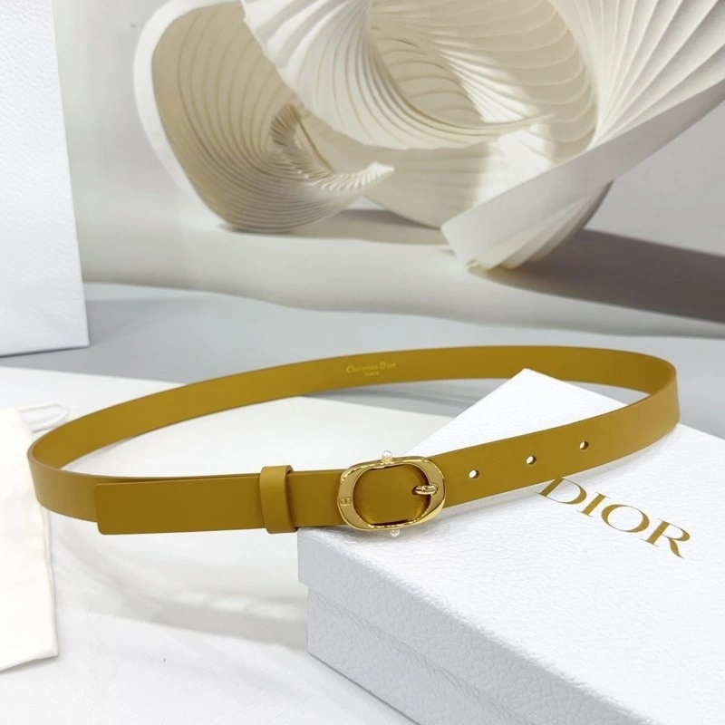 Christian Dior Belts ComfortFit 284908