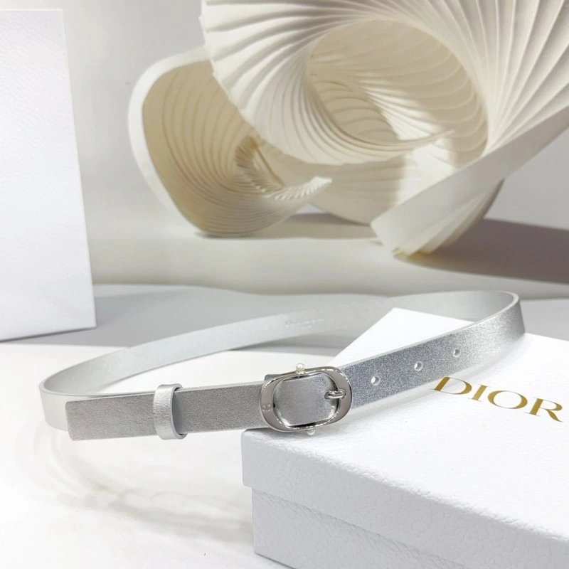 Christian Dior Belts TravelReady 284893