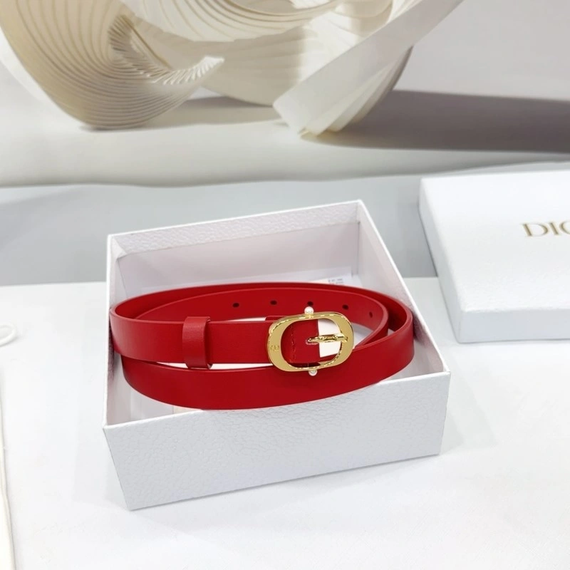 Classic Christian Dior Belts 284920