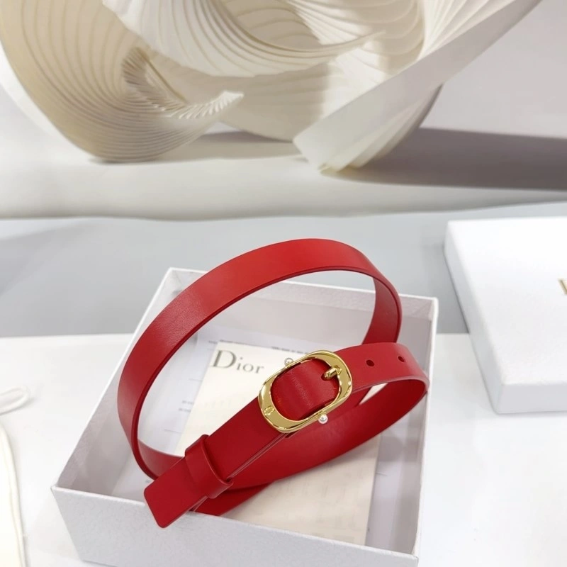 Classic Christian Dior Belts 284920