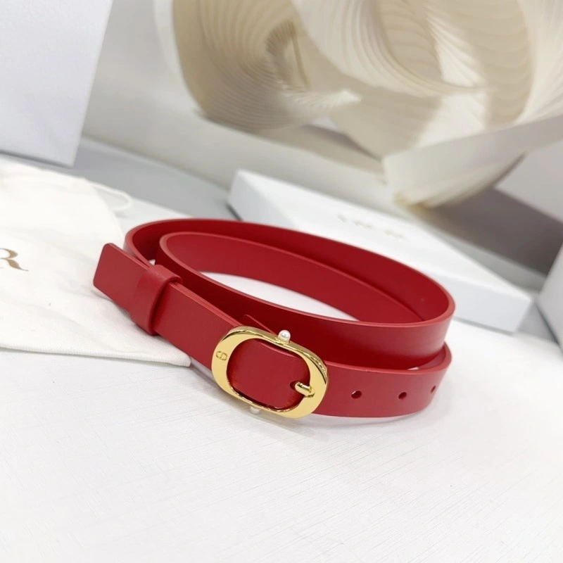 Classic Christian Dior Belts 284920