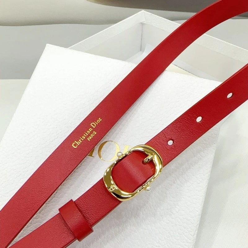Classic Christian Dior Belts 284920