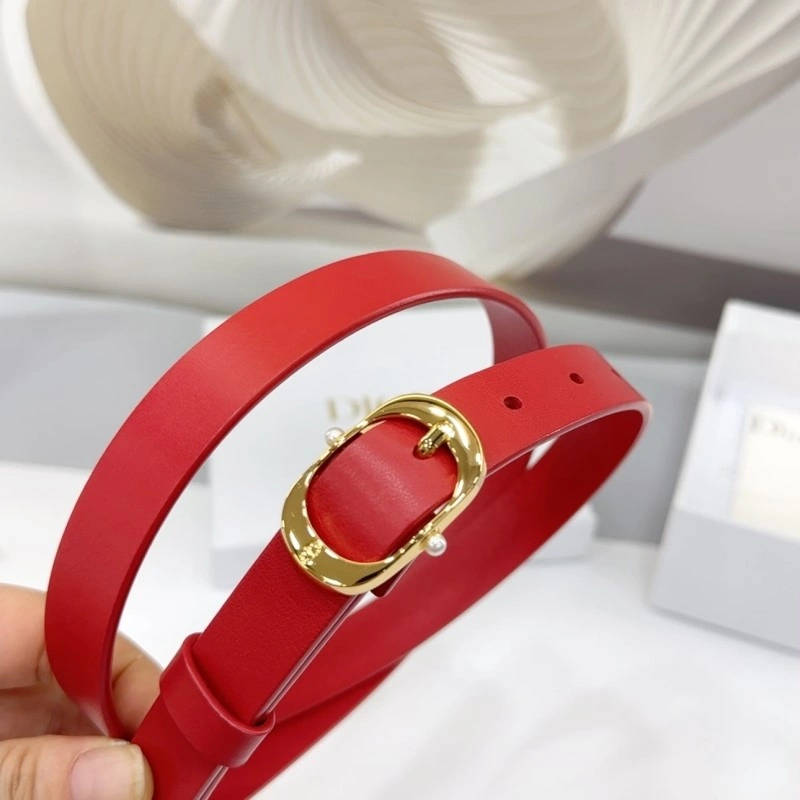 Classic Christian Dior Belts 284920