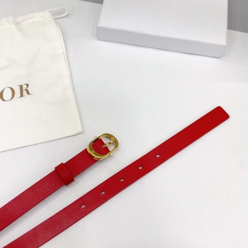 Classic Christian Dior Belts 284920