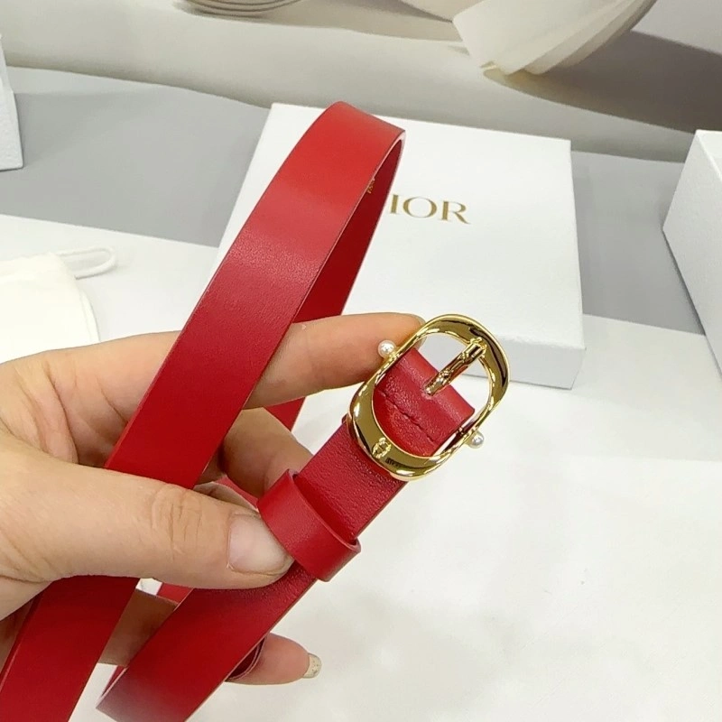 Classic Christian Dior Belts 284920